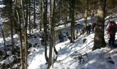Trail Snowshoes Saint-Christophe-sur-Guiers - Le Belvédère d'Arpison - Photo 2