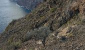 Trail Walking Santiago del Teide - crete  los gigantes-tamaino - Photo 1