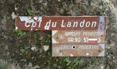 Randonnée Marche Bormes-les-Mimosas - Bormes reco rando Pierre - Photo 2