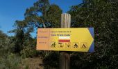 Trail Walking Bormes-les-Mimosas - Bormes reco rando Pierre - Photo 6