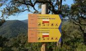 Trail Walking Bormes-les-Mimosas - Bormes reco rando Pierre - Photo 5