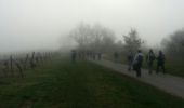 Trail Walking Lestiac-sur-Garonne - lestiac   - Photo 15