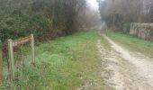 Trail Walking Lestiac-sur-Garonne - lestiac   - Photo 11