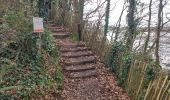 Trail Walking Daoulas - Pointe de Rosmelec.(19-02-17) - Photo 9