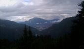 Tocht Stappen Arâches-la-Frasse - Du Pré du Bois au Mont Favy - Photo 1