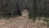 Tocht Andere activiteiten Thomery - forêt de fontainebleau  - Photo 9
