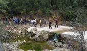 Trail Walking Le Cannet-des-Maures - Les Mayons Les roches blanches rando - Photo 11