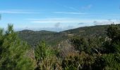 Randonnée Marche Le Cannet-des-Maures - Les Mayons Les roches blanches rando - Photo 4
