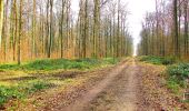 Trail Walking Oigny-en-Valois - en forêt de Retz_52_Oigny en Valois_Chartreuse de Bourgfontaine et plus_AR - Photo 16