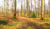 Trail Walking Oigny-en-Valois - en forêt de Retz_52_Oigny en Valois_Chartreuse de Bourgfontaine et plus_AR - Photo 17