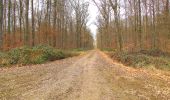 Trail Walking Oigny-en-Valois - en forêt de Retz_52_Oigny en Valois_Chartreuse de Bourgfontaine et plus_AR - Photo 15
