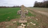 Randonnée Marche Butry-sur-Oise - croix des Friches et Parmain  - Photo 7