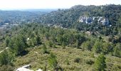 Tour Wandern Les Baux-de-Provence - Le tour des Baux de Provence - Photo 10