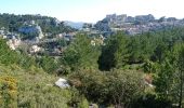 Tour Wandern Les Baux-de-Provence - Le tour des Baux de Provence - Photo 7