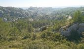 Tour Wandern Les Baux-de-Provence - Le tour des Baux de Provence - Photo 6