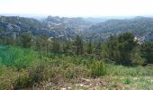 Tour Wandern Les Baux-de-Provence - Le tour des Baux de Provence - Photo 5