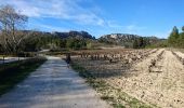 Tour Wandern Les Baux-de-Provence - Le tour des Baux de Provence - Photo 2