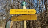 Trail Walking Poligny - Cabane des Pierres.(26-02-17) - Photo 7