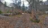 Trail Walking Poligny - Cabane des Pierres.(26-02-17) - Photo 1