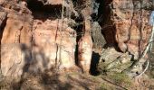 Excursión Bici de montaña Hanviller - Decouverte des vosges du nord a Roppeviler - Photo 2