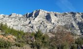 Excursión Senderismo Saint-Antonin-sur-Bayon - Sainte Victoire par le pas de clapier  - Photo 4