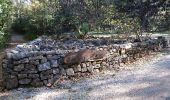 Randonnée Marche Flassans-sur-Issole - Peyrassol reco nulle - Photo 1