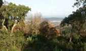 Excursión Senderismo Les Arcs-sur-Argens - Les Arcs-les Apiés 2 - Photo 2