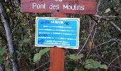 Trail Walking Montauroux - Montauroux-Pont des Tuves 2 - Photo 4