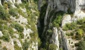 Tour Wandern Oppedette - Gorges d'Oppedette 150831 - Photo 13