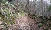 Trail Walking Montauban-de-Luchon - HERRAN 15+17 - Photo 8