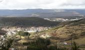 Tocht Andere activiteiten Lavans-lès-Saint-Claude - Tramo a Montagnes - Photo 4