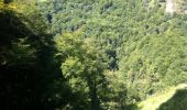 Randonnée Marche Larrau - Passerelle d'Holzarte - Photo 6