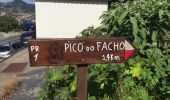 Tour Andere Aktivitäten Machico - trajet de machico à canical  - Photo 2