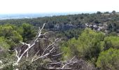 Tour Wandern Fontaine-de-Vaucluse - LE TOUR DE LA FONTAINE DE VAUCLUSE - Photo 13