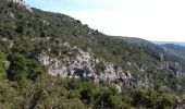 Randonnée Marche Fontaine-de-Vaucluse - LE TOUR DE LA FONTAINE DE VAUCLUSE - Photo 10