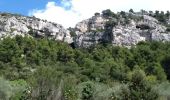 Randonnée Marche Fontaine-de-Vaucluse - LE TOUR DE LA FONTAINE DE VAUCLUSE - Photo 7