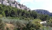 Tocht Stappen Fontaine-de-Vaucluse - LE TOUR DE LA FONTAINE DE VAUCLUSE - Photo 6