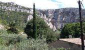 Tour Wandern Fontaine-de-Vaucluse - LE TOUR DE LA FONTAINE DE VAUCLUSE - Photo 4