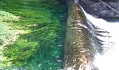 Tocht Stappen Fontaine-de-Vaucluse - LE TOUR DE LA FONTAINE DE VAUCLUSE - Photo 1