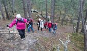 Trail Walking Larchant - M&R-170303 - MtBlanc-DameJouanne - Photo 8