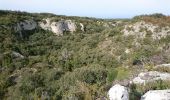 Excursión Bici de montaña Rochefort-du-Gard - La régalade - Photo 3