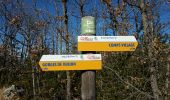 Tour Wandern Comps-sur-Artuby - Comps rando Pierre - Photo 3