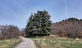 Trail Walking Aspres-sur-Buëch - Circuit des Eygau.(09-03-17) - Photo 5