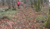 Trail Walking Faverney - j)Etapa 10 - Photo 15