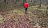 Trail Walking Faverney - j)Etapa 10 - Photo 3