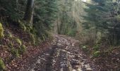 Trail Walking Moirans-en-Montagne - d)Etapa 4  - Photo 12