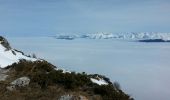 Randonnée Raquettes à neige Gresse-en-Vercors - Le pas du Serpaton et + (Gresse Circuit 8 Noir) - Photo 3
