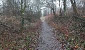 Tour Wandern Vandœuvre-lès-Nancy - 5km aremig partiel - Photo 20