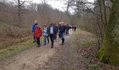 Tocht Stappen Plaisir - rando du 09/03/2017 - Photo 8