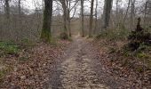 Trail Walking Plaisir - rando du 09/03/2017 - Photo 7